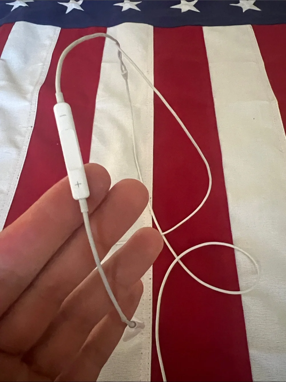 Apple EarPods Headphones